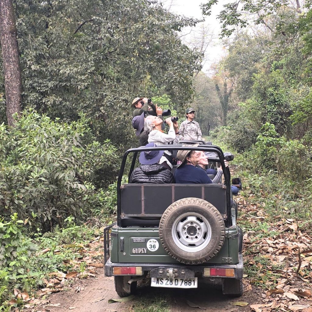Manas Jeep Safari