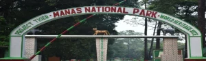 About Manas